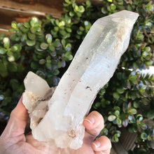 Himalayan Quartz Cluster SKU 18857