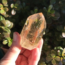 Natural Citrine Point SKU 10890