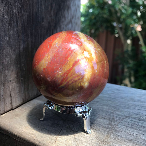 Petrified Wood Sphere SKU 17568