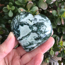 Tree Agate Heart SKU 18737