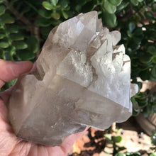 Smoky Elestial Quartz Specimen SKU 17048