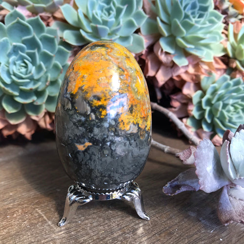 Bumblebee Jasper Egg SKU 15767