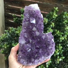 Amethyst Cluster SKU 20874
