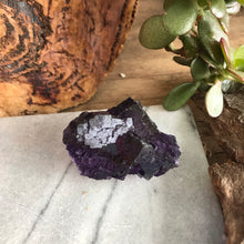 Cubic Purple Fluorite Cluster SKU 6820