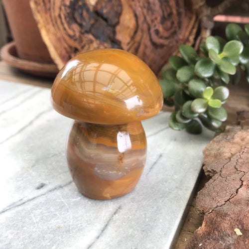 Jasper Mushroom Carving SKU 19553