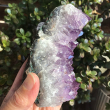 Amethyst Cluster SKU 18882