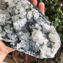 Apophyllite Cluster SKU 19898