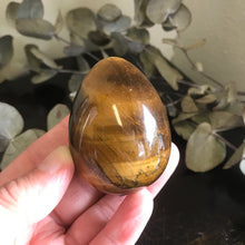 Tiger Eye Egg SKU 21575