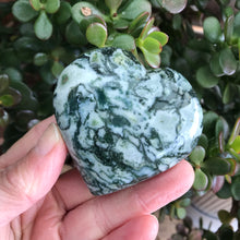 Tree Agate Heart SKU 18737
