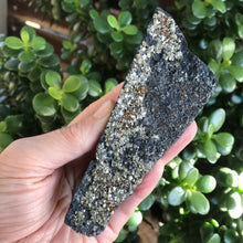 Pyrite in Carbon Specimen SKU 20470
