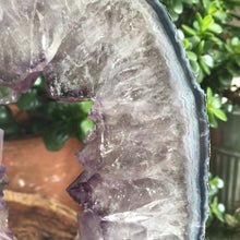 Amelia’s Collection - Amethyst Geode Slice in Stand SKU A875