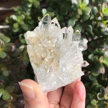 Clear Quartz Cluster SKU 12211