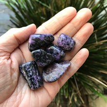 Charoite Tumblestones SKU 12497