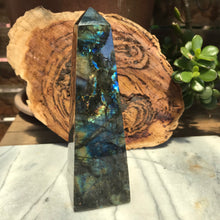Labradorite Obelisk SKU 17694