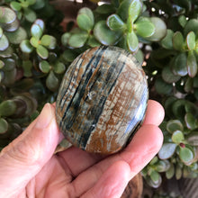 Ocean Jasper Palm Stone SKU 15606