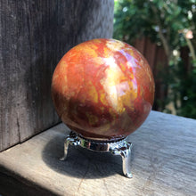 Petrified Wood Sphere SKU 17568