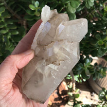 Smoky Elestial Quartz Specimen SKU 17048