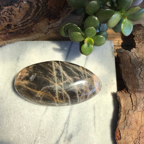 Black Moonstone Palm Stone SKU 19840